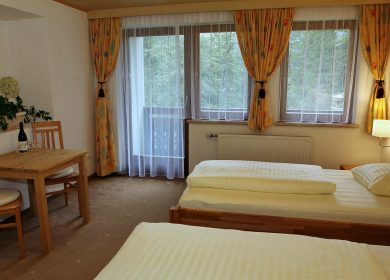 hotel-alpenhaus-evianquelle (5)