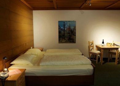hotel-alpenhaus-evianquelle (6)