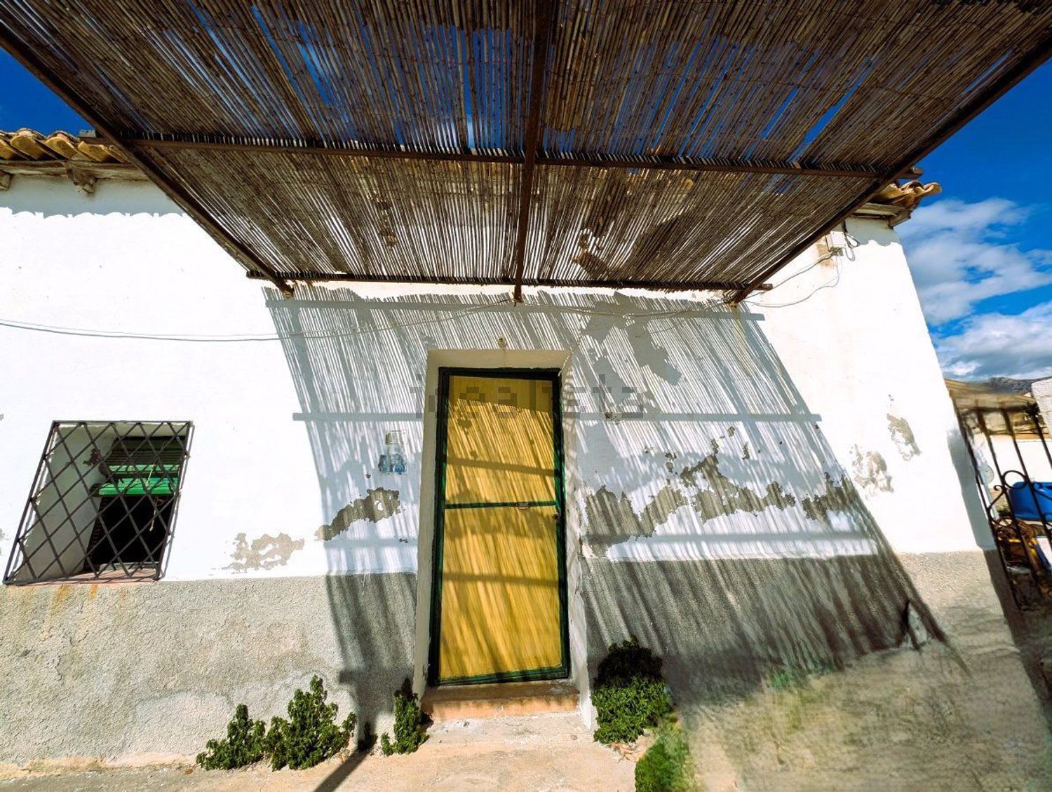 Poza 18