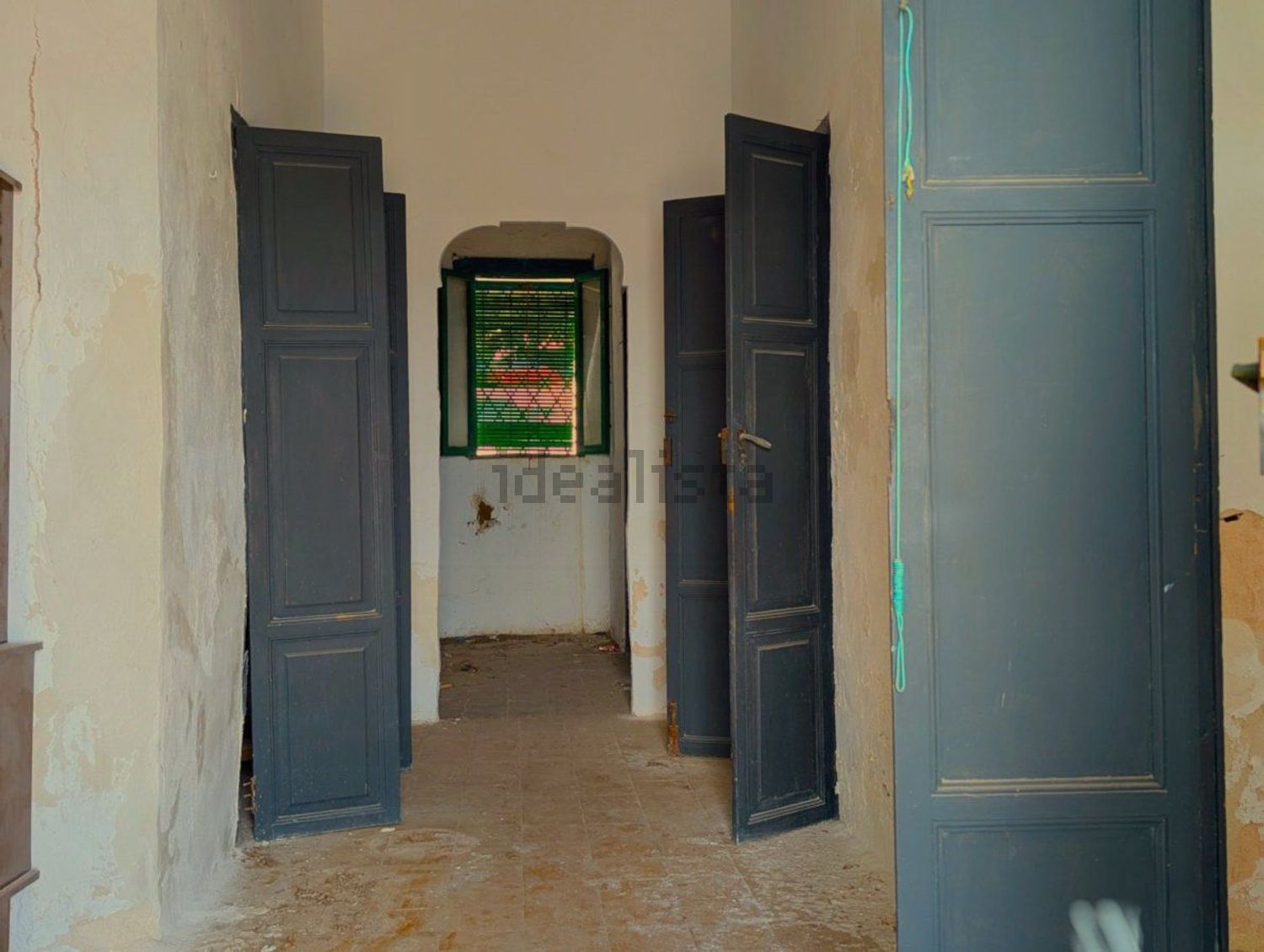 Poza 24